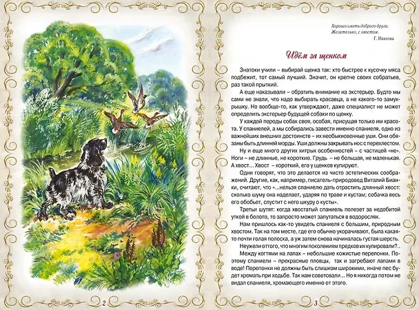 Книга Дик. Повесть о собаке (Альберт Иванов) — 2