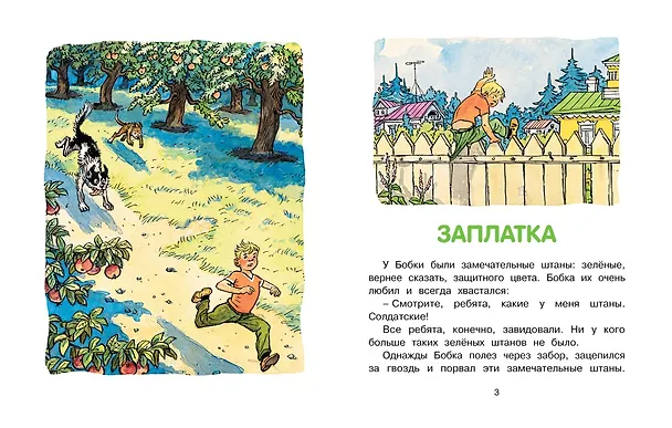 Книга Заплатка (Рисунки И. Семенова) (Николай Носов) — 3