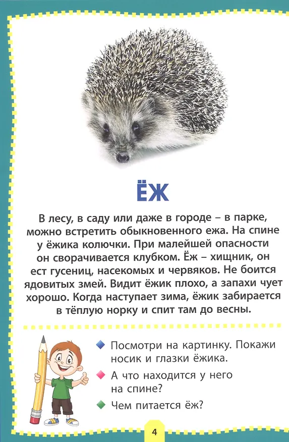 Книга Лесные животные. Фотокнига для самых маленьких () — 4