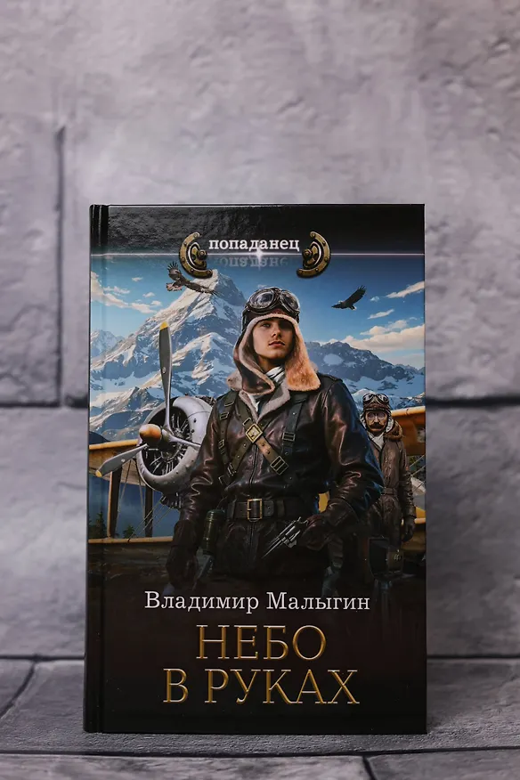 Книга Небо в руках (Владимир Малыгин) — 7