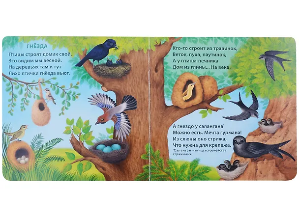 Книга Удивительные дома животных. Книжки-картонки (Евгений Сосновский) — 5
