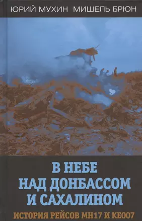 В небе над Донбассом и Сахалином. История рейсов MH17 и KE007 — 2866368 — 1