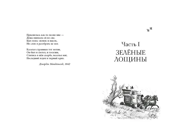 Книга Король-волк (#4) (Эндрю Питерсон) — 9