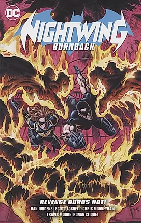 Nightwing: Burnback — 2934001 — 1