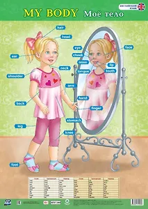 Английский язык. My body/Моё тело. Учебный плакат (Формат А2)