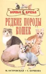 Редкие породы кошек