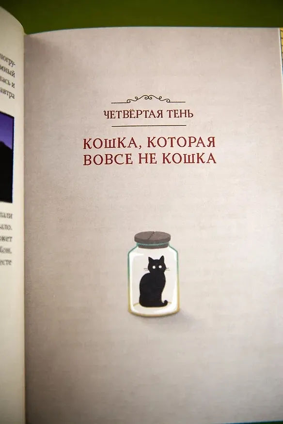 Книга Магазин теней «Лунный свет». Книга 2. Кошка в стеклянной бутылке (Усу Ким, Ыгён Чон) — 12