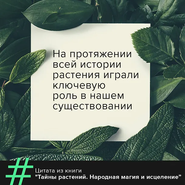 Книга Тайны растений. Народная магия и исцеление (Фез Инкрайт) — 6
