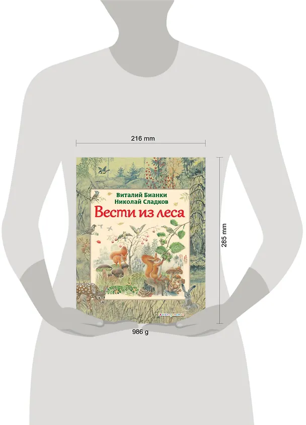 Книга Вести из леса (ил. М. Белоусовой) (Виталий Бианки) — 5