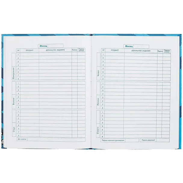 Дневник школьный «Дрифт», для младших классов, Феникс+ 259852 — 2