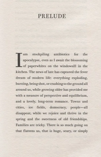 Книга Almost Everything. Notes on Hope (Энн Ламотт) — 4