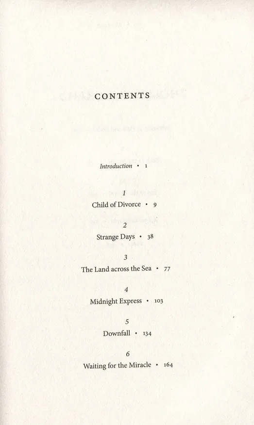 Книга Chasing The Light (Oliver Stone) — 2