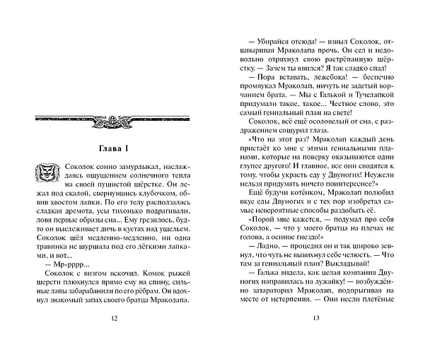 Книга Ослепление (Эрин Хантер) — 6