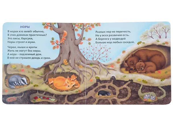 Книга Удивительные дома животных. Книжки-картонки (Евгений Сосновский) — 2