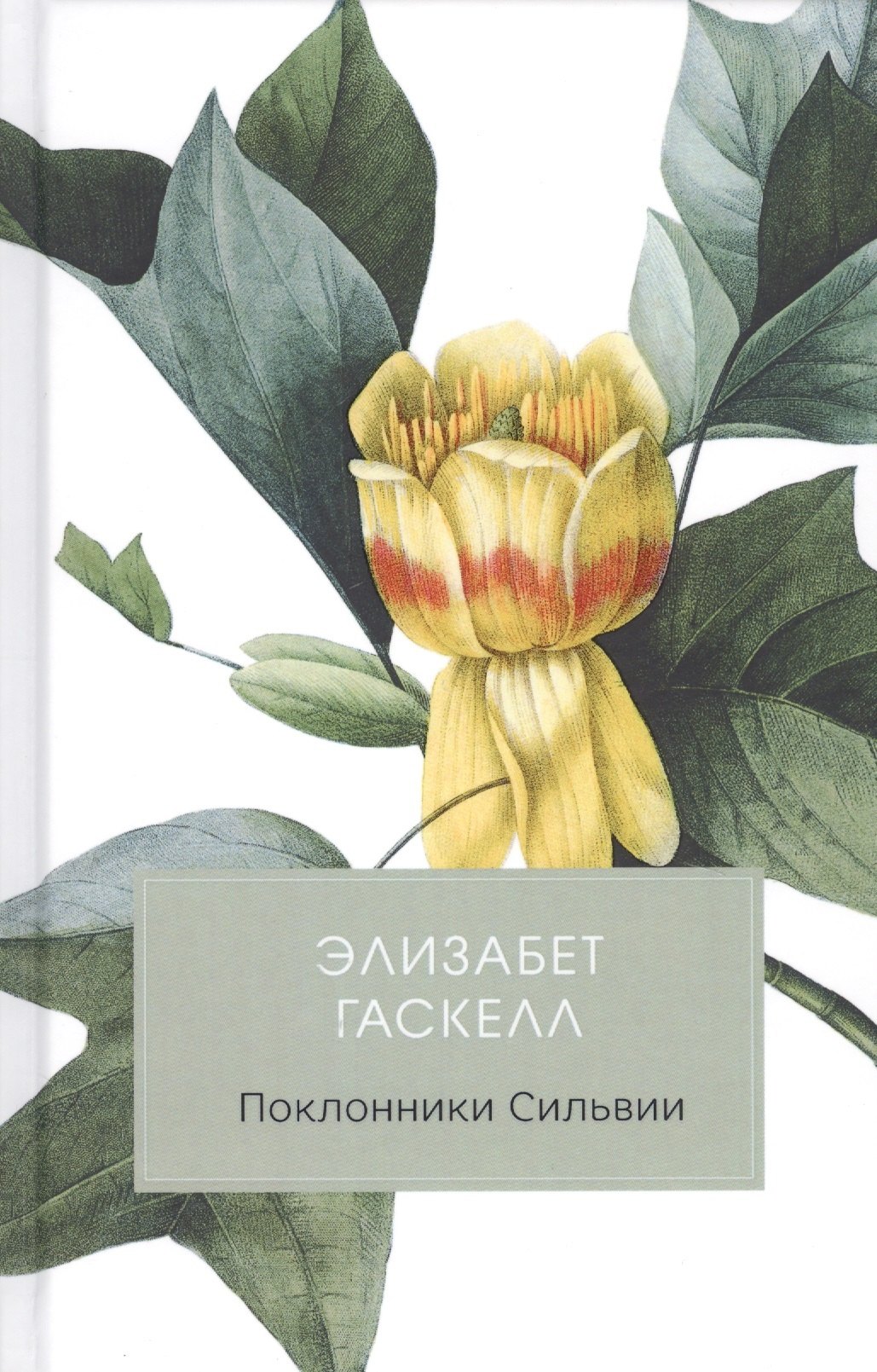 

Поклонники Сильвии
