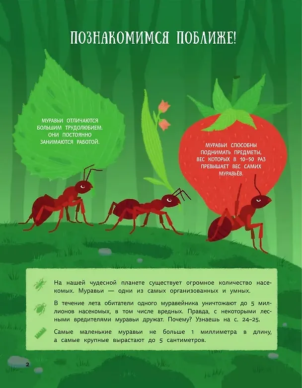 Книга Муравьи против божьих коровок. Божьи коровки против муравьёв. Книжка-перевёртыш (Дарья Губина) — 4