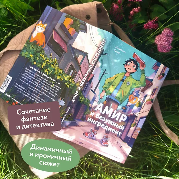 Книга Амир и безумный ингредиент (Шермин Яшар) — 6