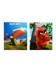 Тетрадь в клетку Angry Birds-Выпуск №1 (Movie), 48 листов, в ассортименте