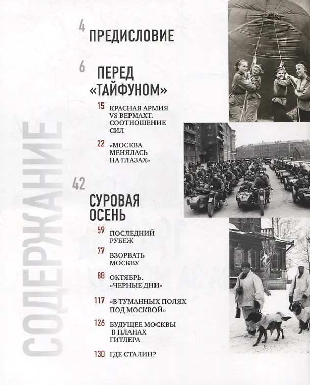Книга 1941 год. Битва за Москву (Евгений Матонин) — 2