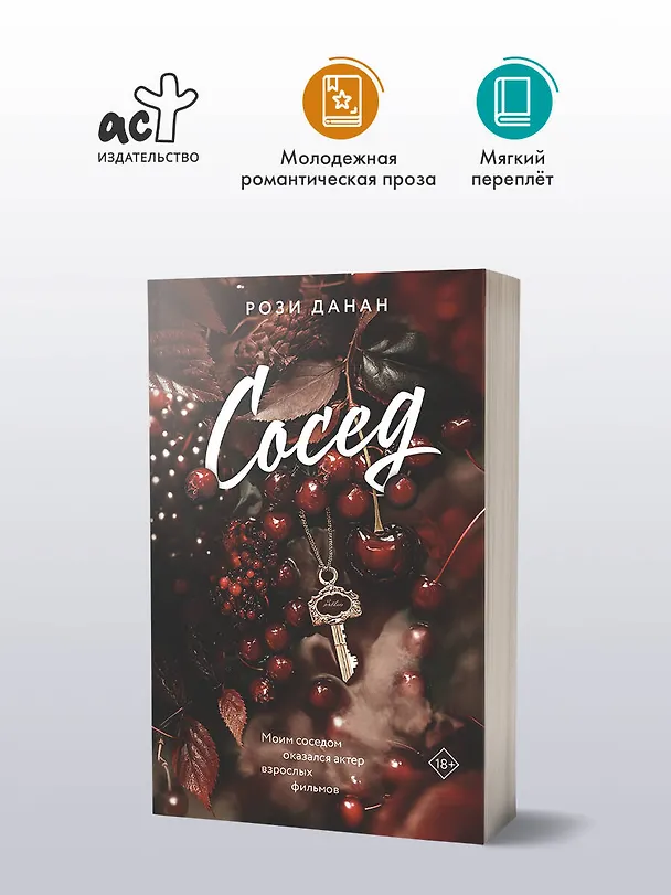 Книга Сосед (Рози Данан) — 4