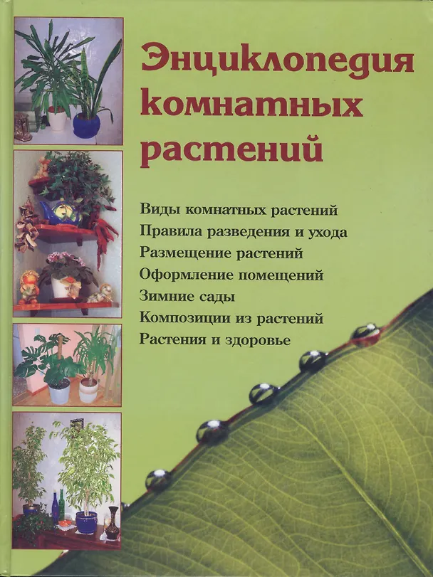 Книга Энциклопедия комнатных растений () — 2