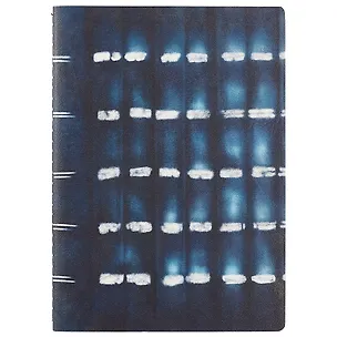 Тетрадь в клетку Asac, Urban lights, B5, 46 листов 239840