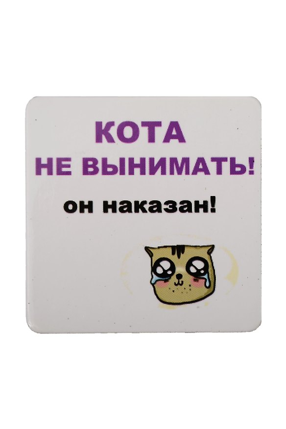 Сувенир МАГНИТИК Магнит 6,5*6,5см "Приколы": "Кота не вынимать..." 2361596 — 1