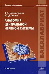 Анатомия центральной нервной системы (Бакалавриат) Цехмистренко — 2441974 — 1