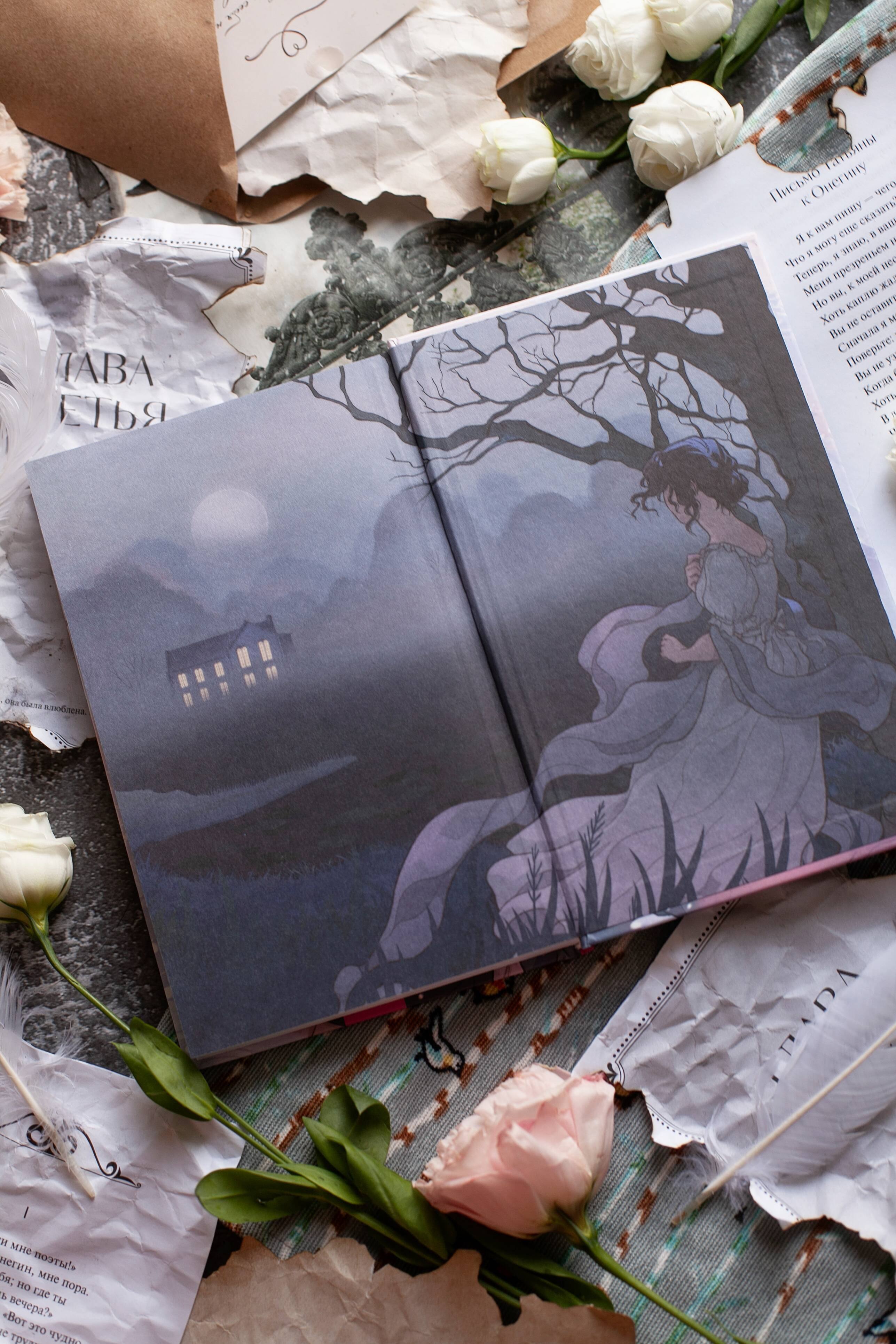 Изображение бумажной книги