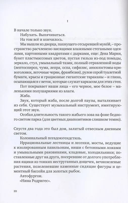 Книга ОПЫТ О ПУБЕРТАТЕ (Хуберт Фихте) — 3