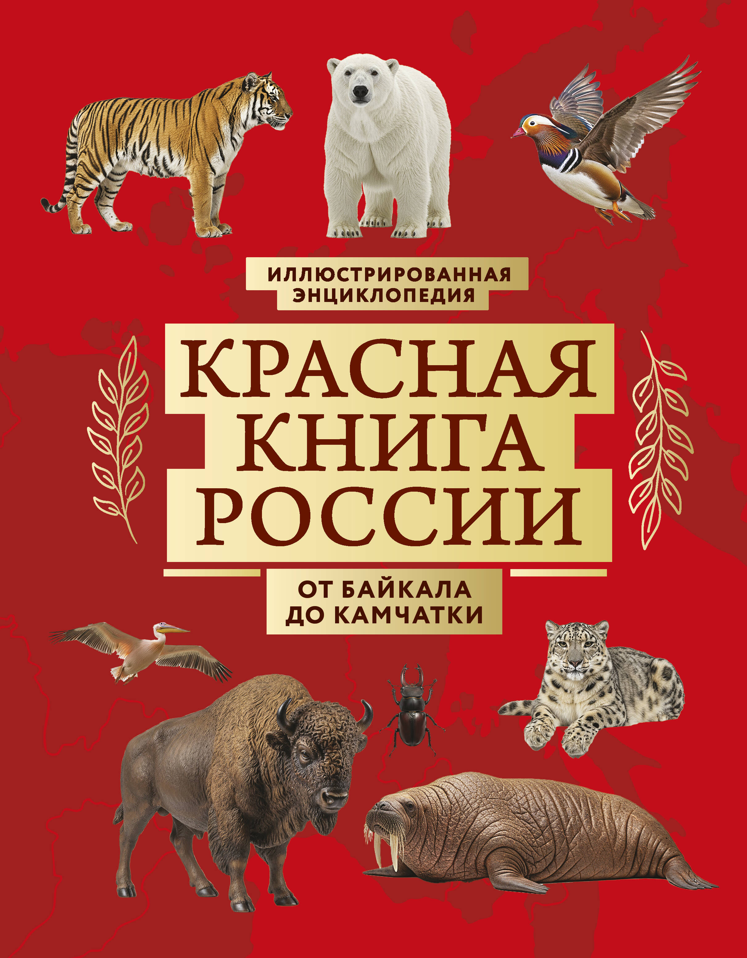 Обложка: Красная книга России. От Байкала до Камчатки. Иллюстрированная энциклопедия (48 стр.)