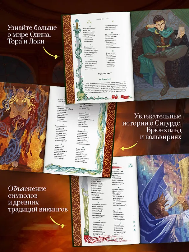 Книга Старшая Эдда. Мифы и легенды Скандинавии. Коллекционное издание (переплет под натуральную кожу, обрез с орнаментом, три вида тиснения) () — 6