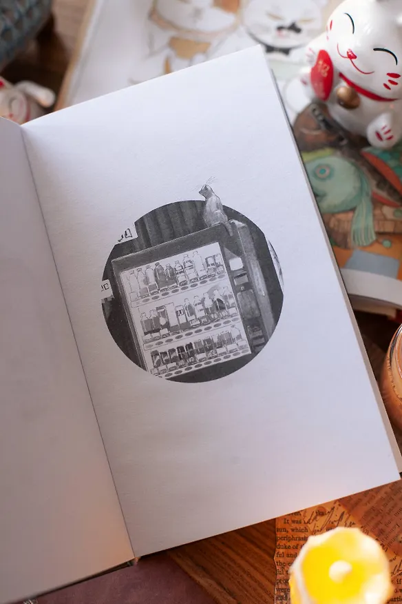 Книга Коты Синдзюку (Дуриан Сукегава) — 11