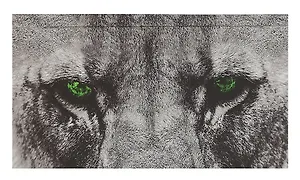 Планинг недат. 64л "Царь зверей" карманный, 7БЦ, мат.лам, покрытие Soft Touch, офсет