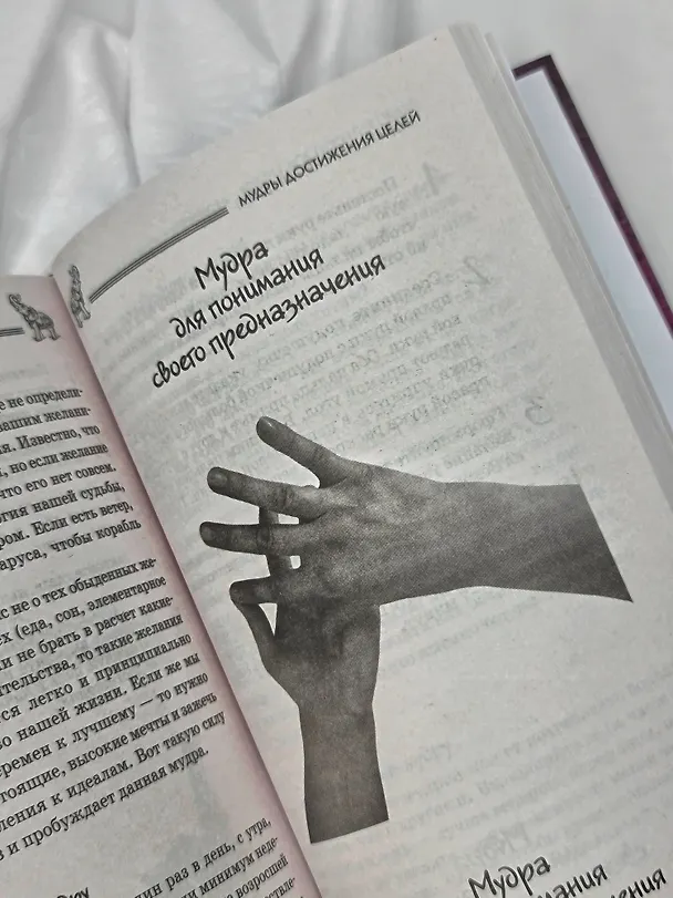 Книга Все мудры, исполняющие желания, в одной книге. Научись управлять вибрациями Вселенной (Петр Левин) — 12