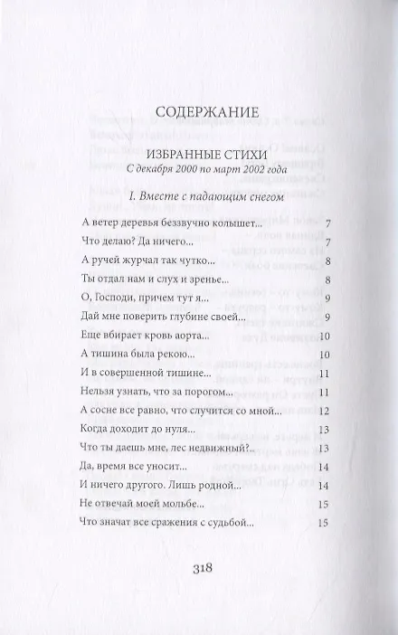Книга Нескончаемая встреча () — 2