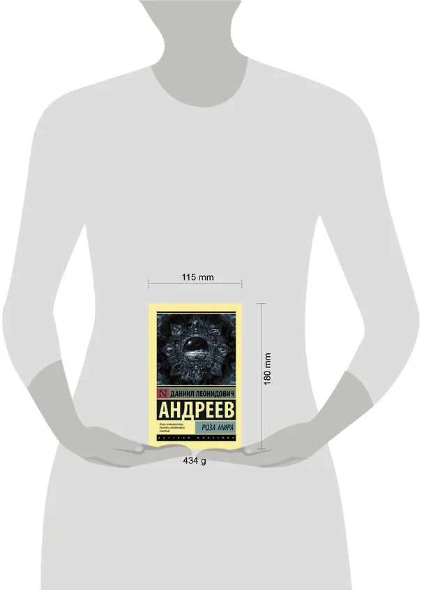 Книга Роза Мира (Даниил Андреев) — 6
