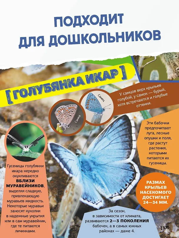 Книга Большая энциклопедия о насекомых. 500 фотографий и фактов (Анна Спектор) — 10