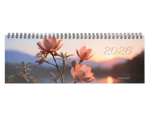 Планинг датированный 2026 год, 64 листа "На закате", настольный 3124616