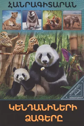 Книга В мире знаний. Детеныши животных (на армянском языке) ()