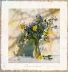 Репродукция в раме (00000135886) Волкова И.В. Формула весны (30х30) 2316216