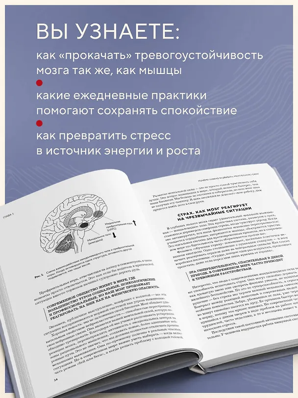 Книга Нейроброня. Новый взгляд на работу мозга в условиях тревожного мира (Джу Хан Ким) — 7