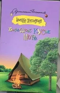 Книга Большой кусок мира : [роман] (Иоанна Хмелевская)