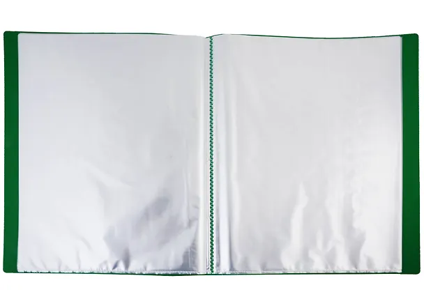 Папка 40ф А4 "STANDARD" пластик 0,6мм, зеленая 2969751 — 2