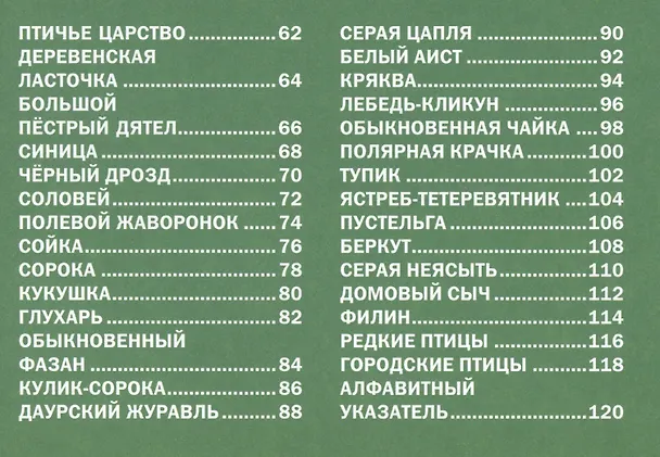 Книга Животный мир России. Энциклопедия для детей (С. Рублев) — 3