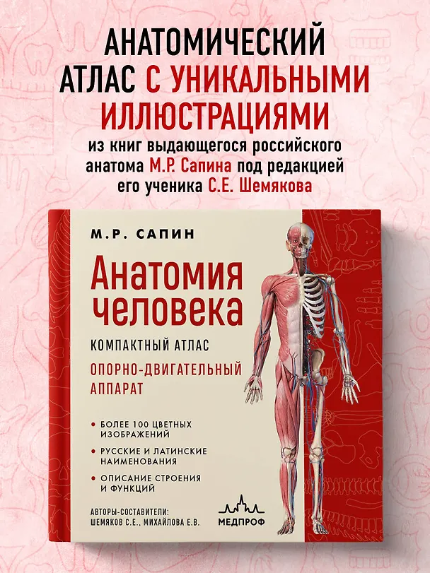 Книга Анатомия человека. Компактный атлас. Опорно-двигательный аппарат (Михаил Сапин) — 6