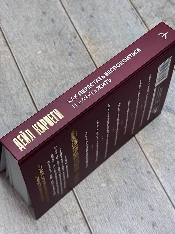 Книга Как перестать беспокоиться и начать жить (Дейл Карнеги) — 14