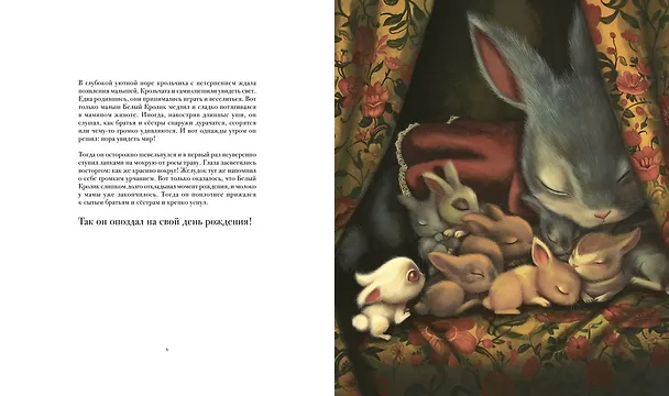 Книга Месье Белый Кролик из Страны чудес (Бенжамен Лакомб) — 11