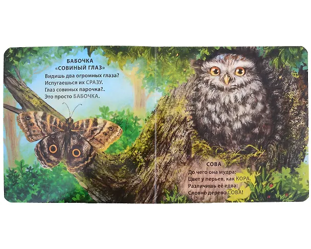 Книга Животные - невидимки. Загадки-рифмы (Евгений Сосновский) — 2