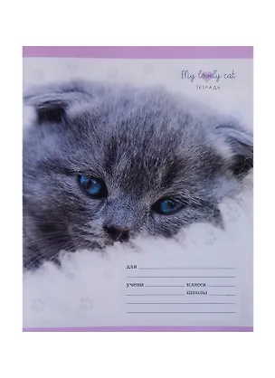 Тетрадь в клетку Unnika, "Милые котята", 18 листов, в ассортименте 250686
